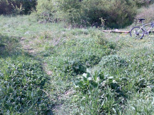 Soubor /studanky (2).jpg